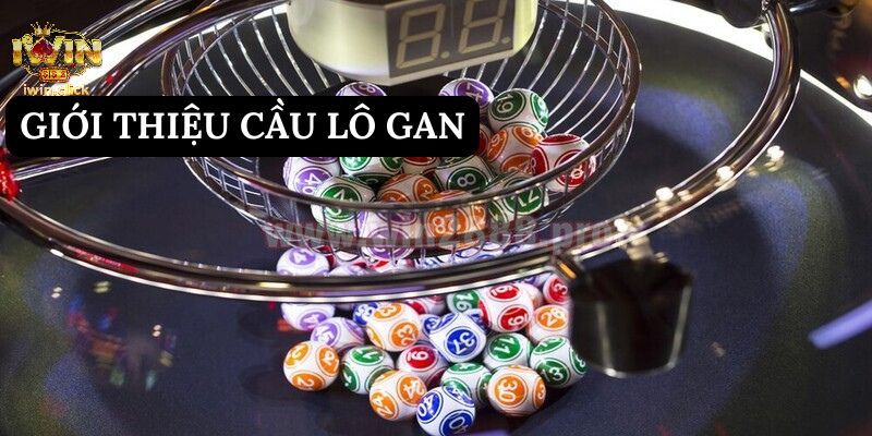 Giới thiệu cầu lô gan